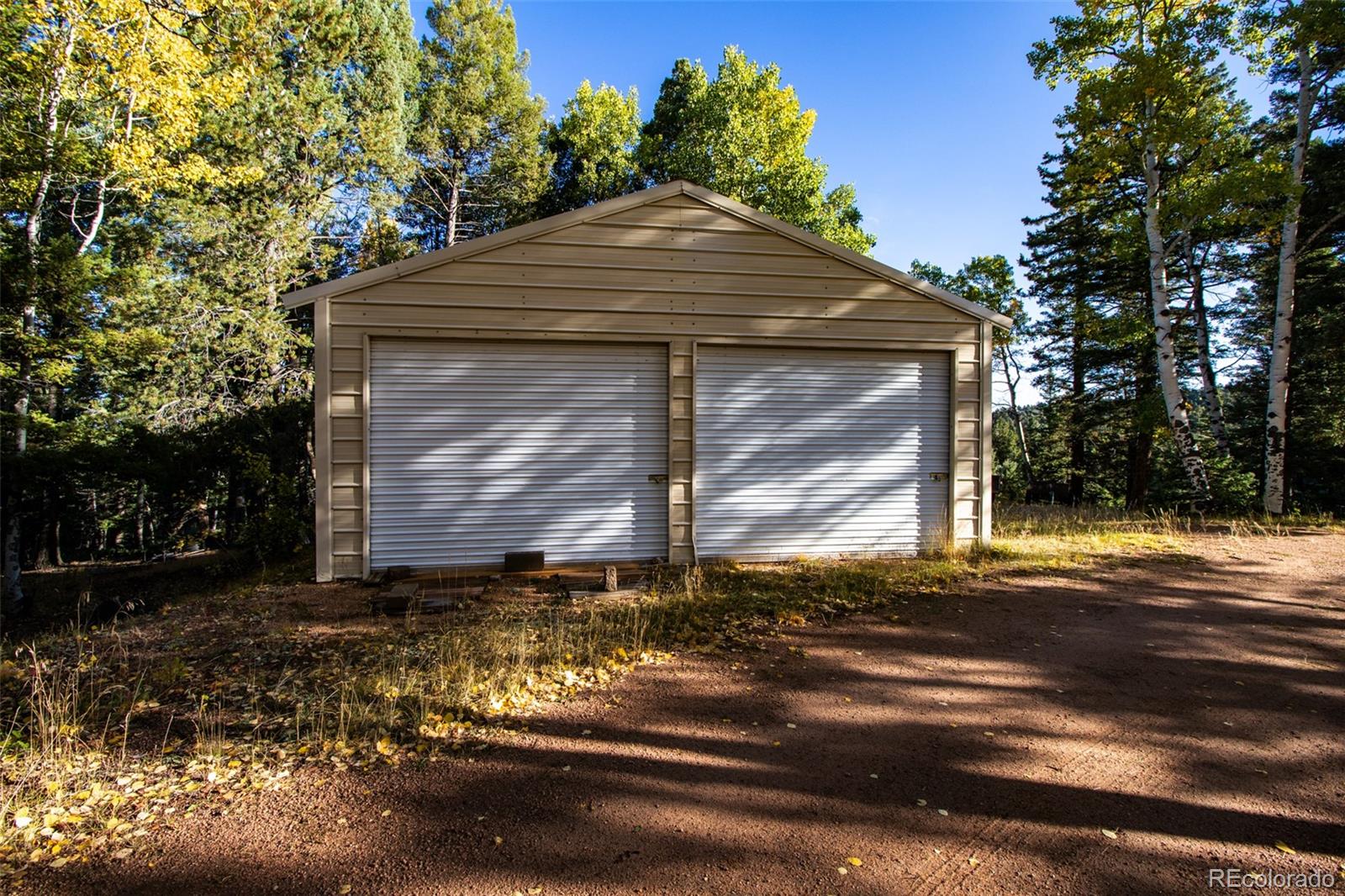 MLS Image #6 for 1054  cantiberry road,divide, Colorado