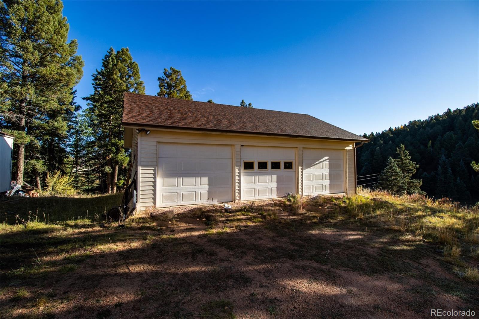 MLS Image #7 for 1054  cantiberry road,divide, Colorado