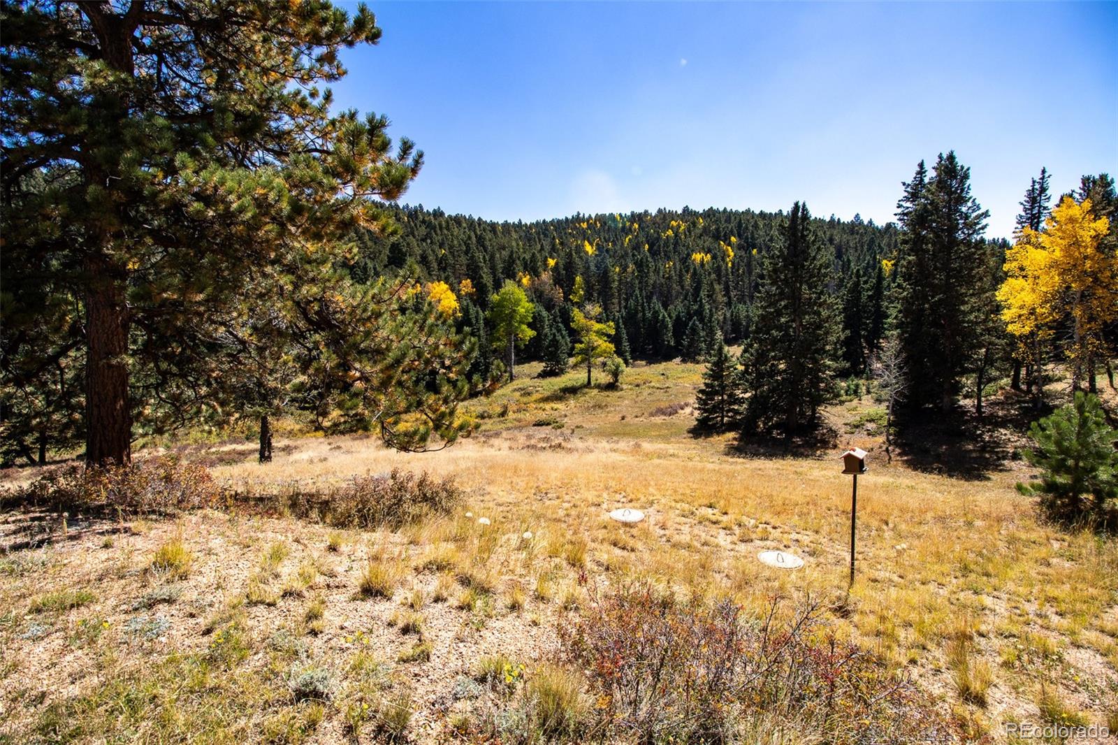 MLS Image #8 for 1054  cantiberry road,divide, Colorado