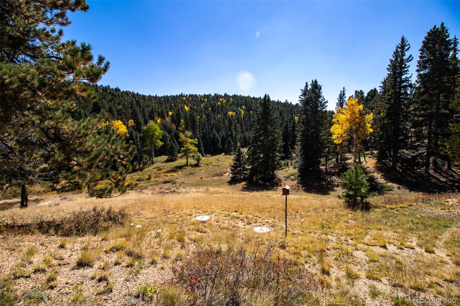 MLS Image #9 for 1054  cantiberry road,divide, Colorado