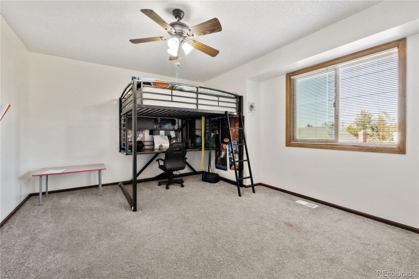 MLS Image #11 for 5895 s killarney way,centennial, Colorado