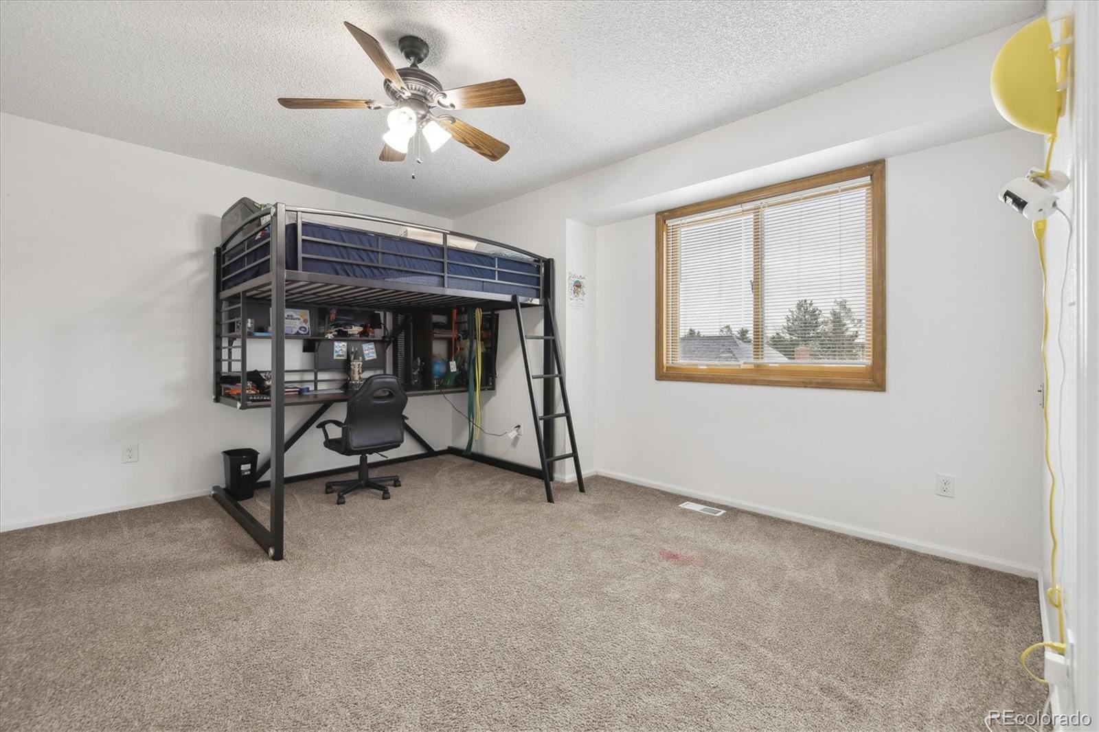 MLS Image #18 for 5895 s killarney way,centennial, Colorado