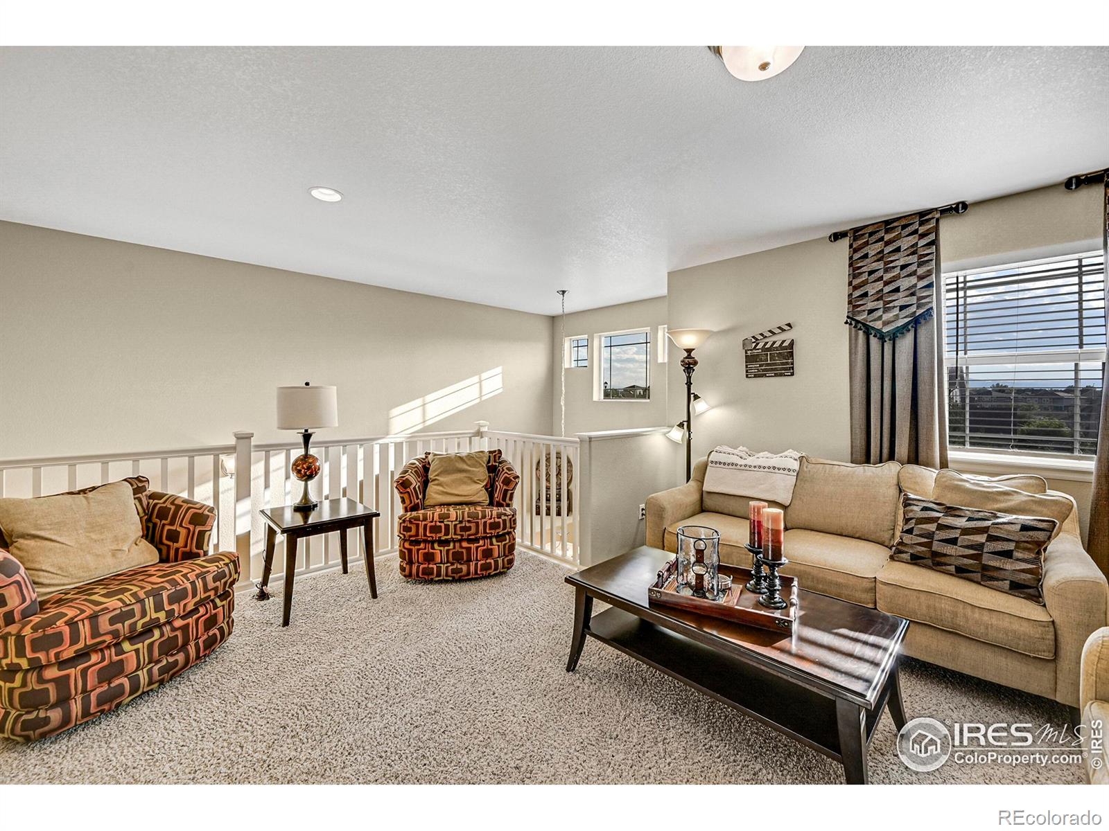 MLS Image #10 for 12214  roslyn street,thornton, Colorado