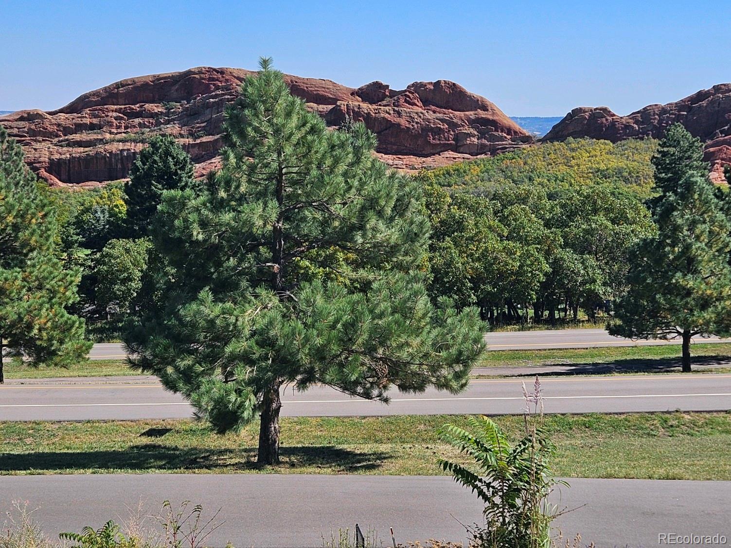 MLS Image #7 for 6183  buffalo run,littleton, Colorado