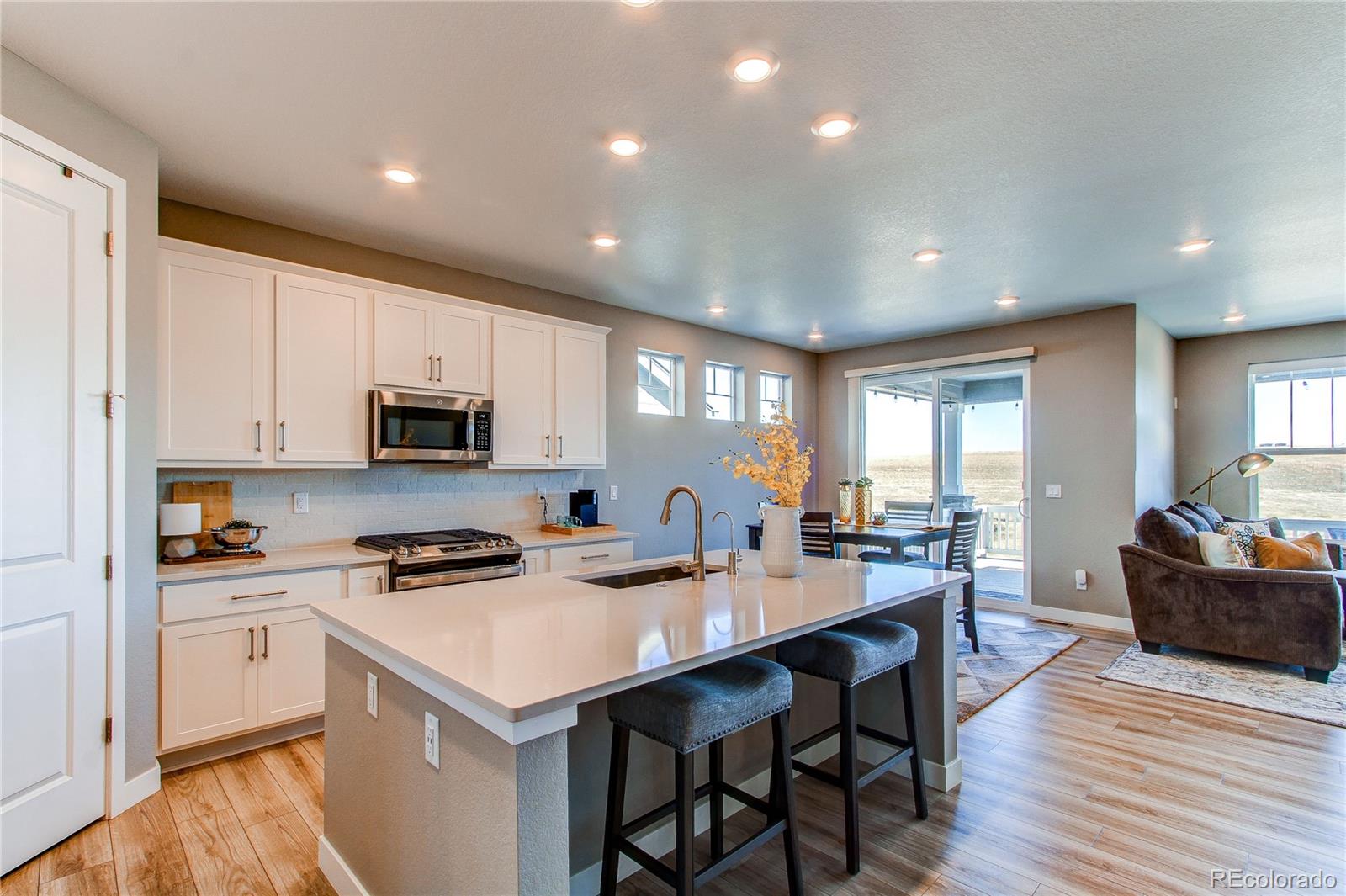 MLS Image #3 for 8172  mount kataka street,littleton, Colorado