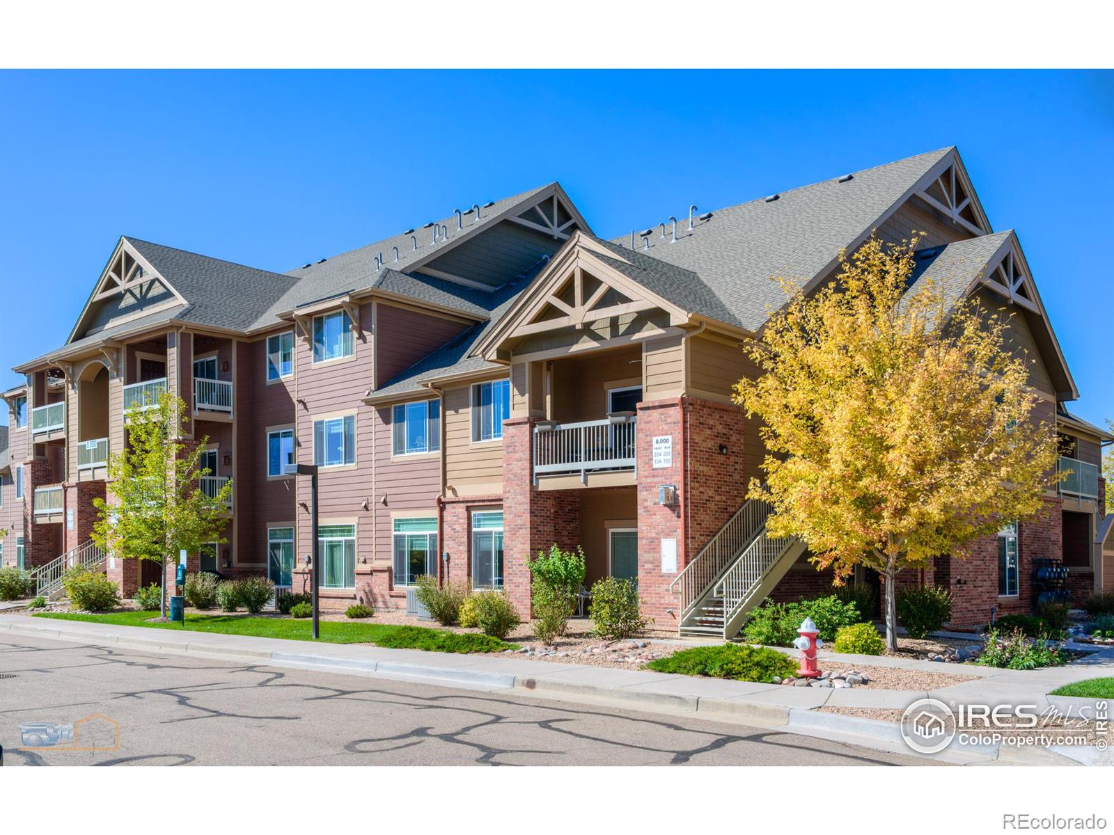 MLS Image #0 for 804  summer hawk drive,longmont, Colorado