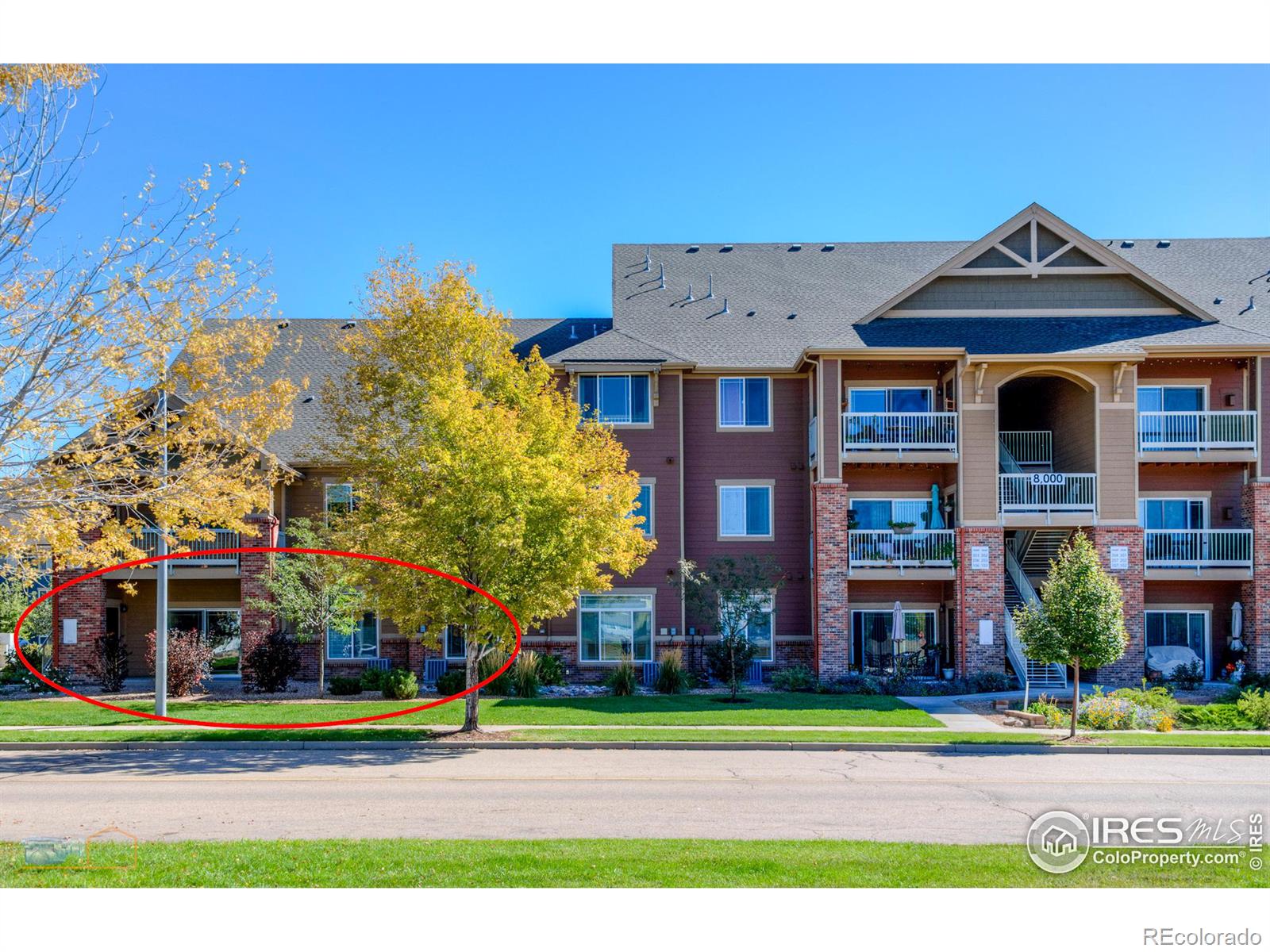 MLS Image #10 for 804  summer hawk drive,longmont, Colorado