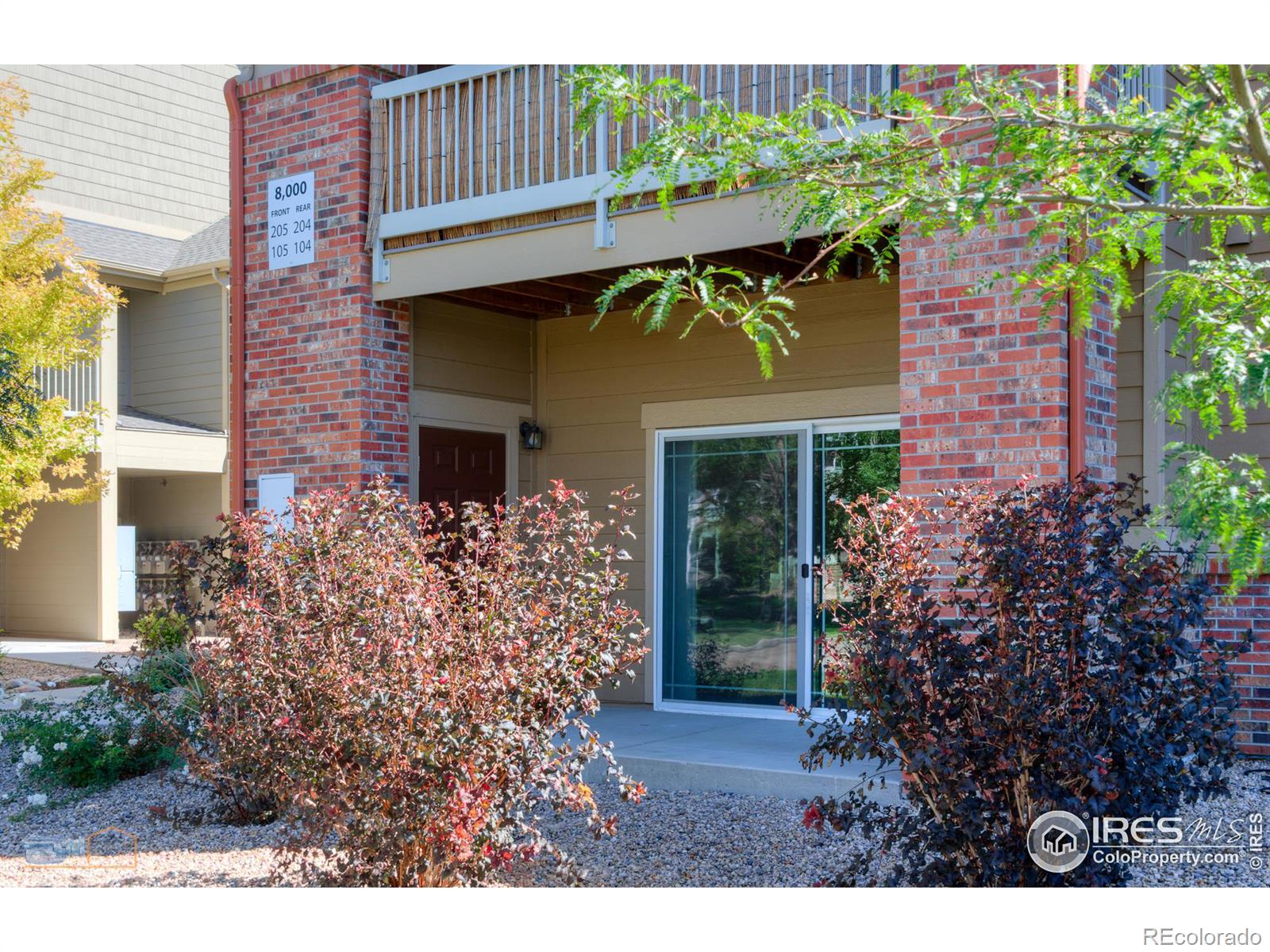 MLS Image #11 for 804  summer hawk drive,longmont, Colorado