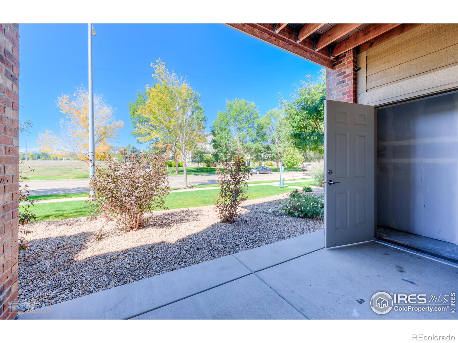 MLS Image #6 for 804  summer hawk drive,longmont, Colorado