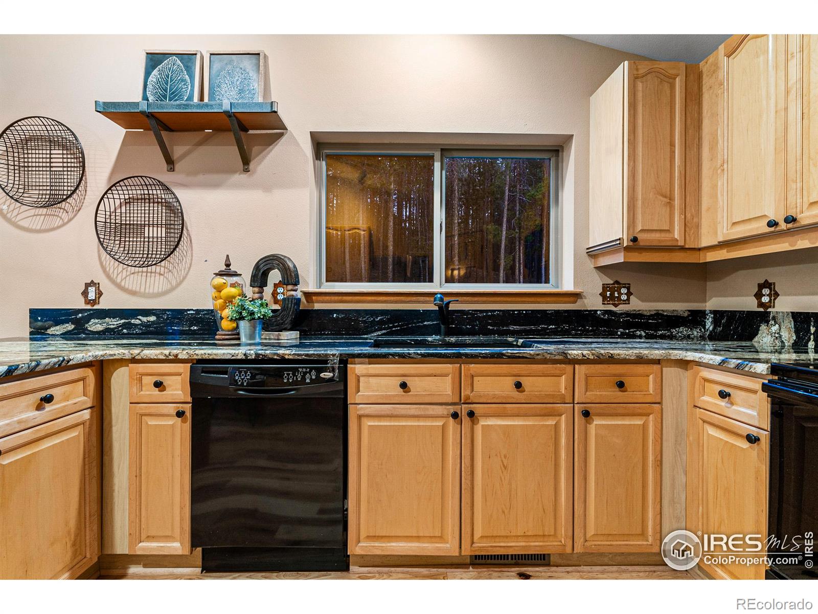 MLS Image #13 for 32936  saint moritz drive,evergreen, Colorado