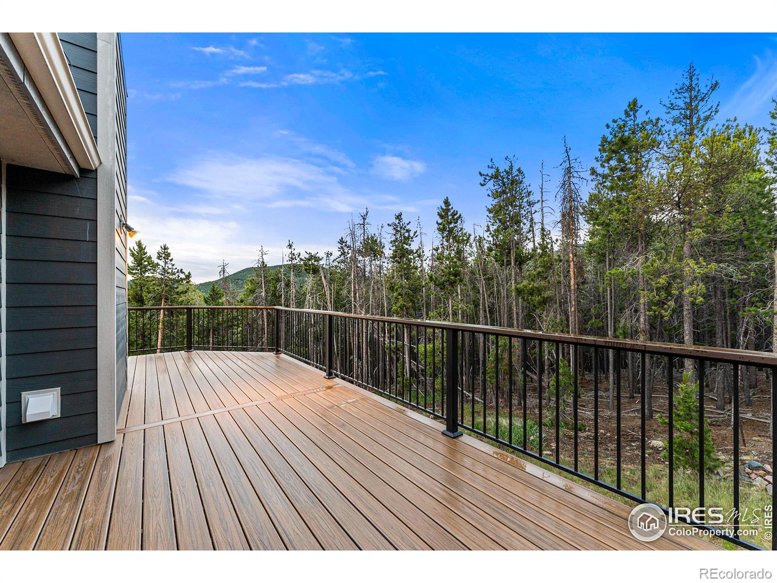 MLS Image #33 for 32936  saint moritz drive,evergreen, Colorado