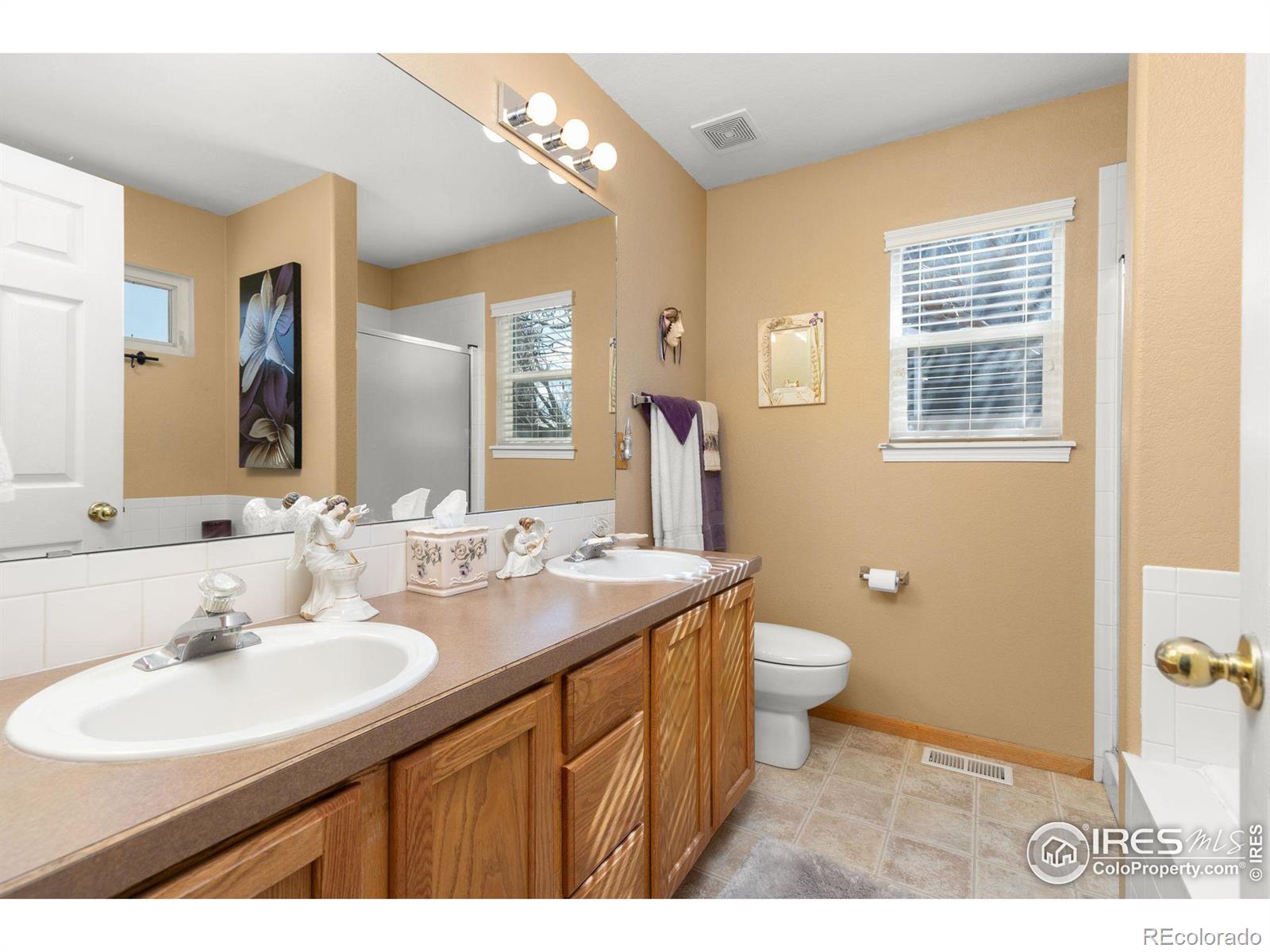 MLS Image #11 for 8419  three silos drive,wellington, Colorado