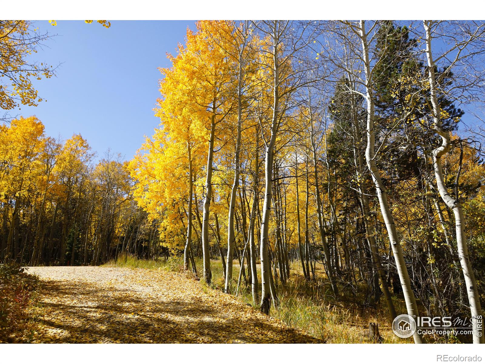 MLS Image #3 for 1136  highpoint circle,black hawk, Colorado