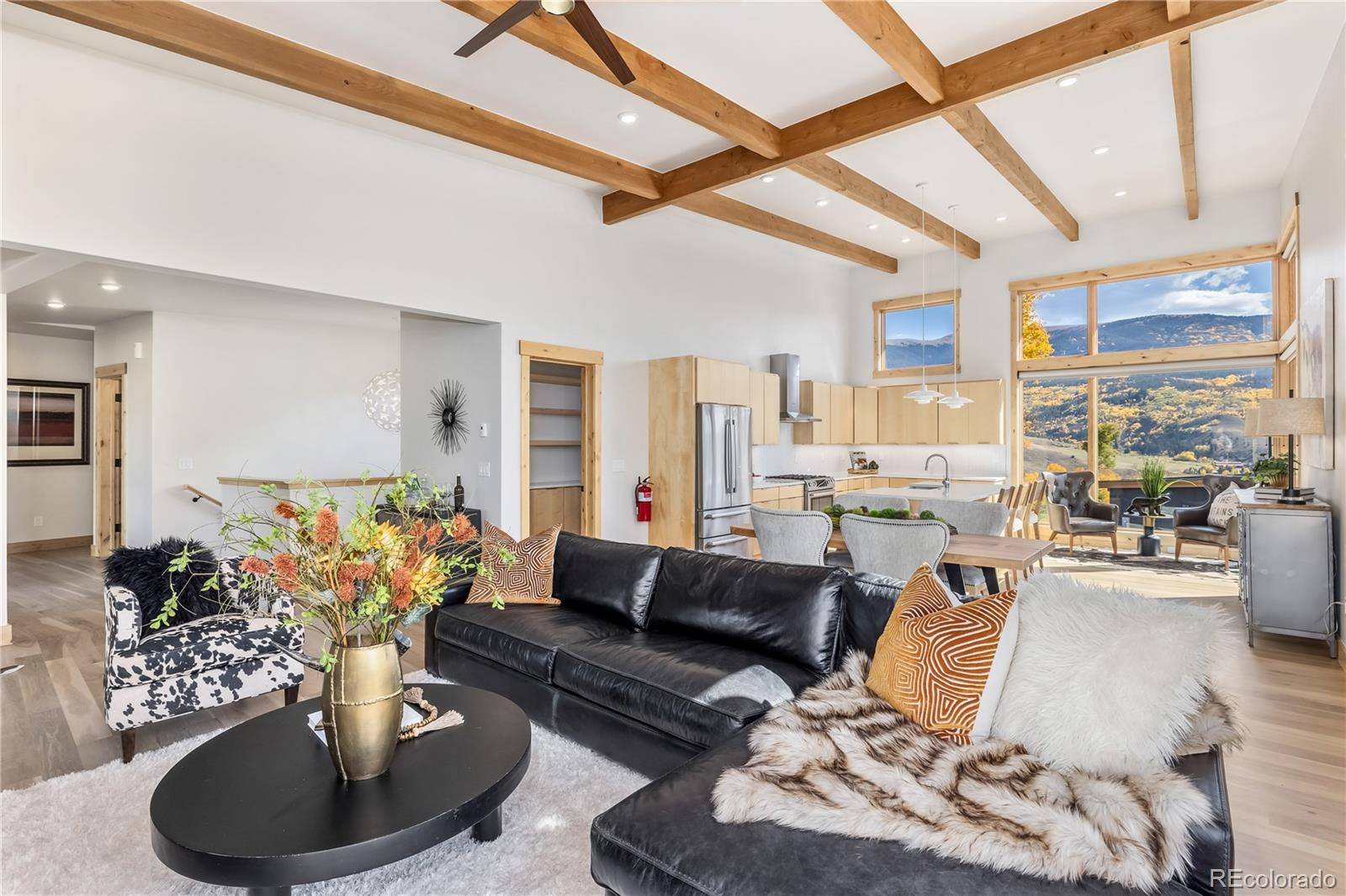 MLS Image #11 for 148  youngs preserve road,silverthorne, Colorado