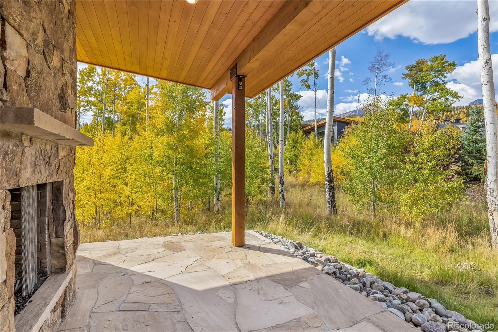 MLS Image #13 for 148  youngs preserve road,silverthorne, Colorado