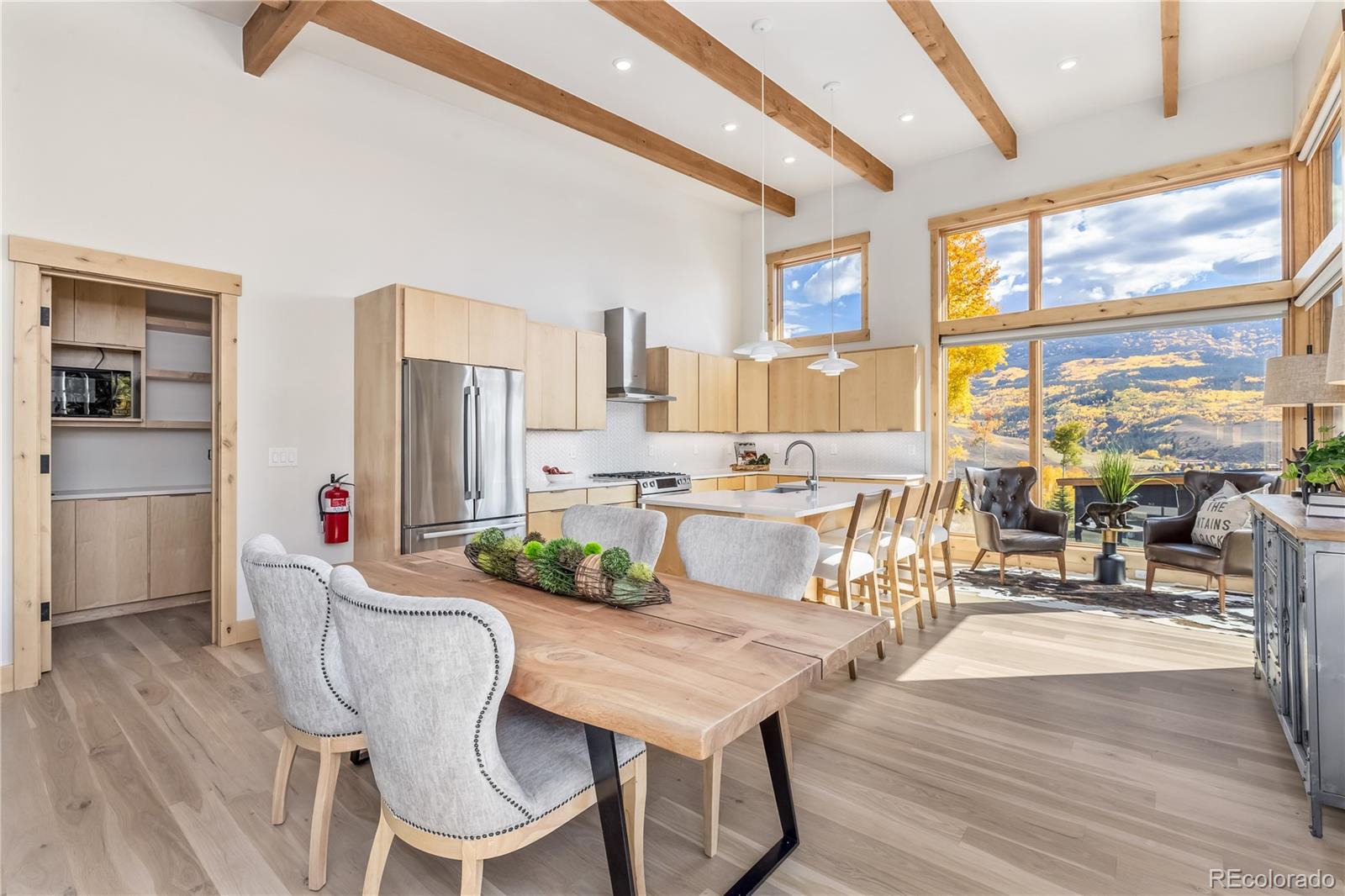 MLS Image #3 for 148  youngs preserve road,silverthorne, Colorado