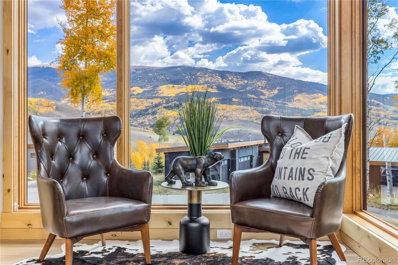 MLS Image #4 for 148  youngs preserve road,silverthorne, Colorado