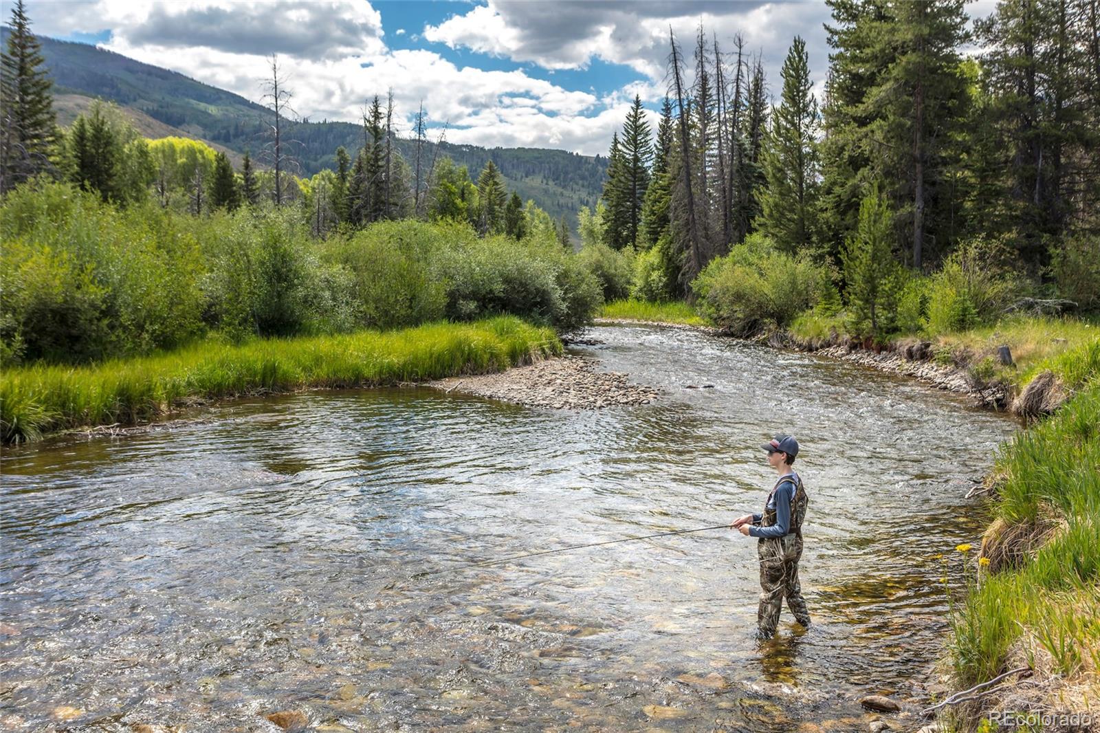 MLS Image #42 for 148  youngs preserve road,silverthorne, Colorado