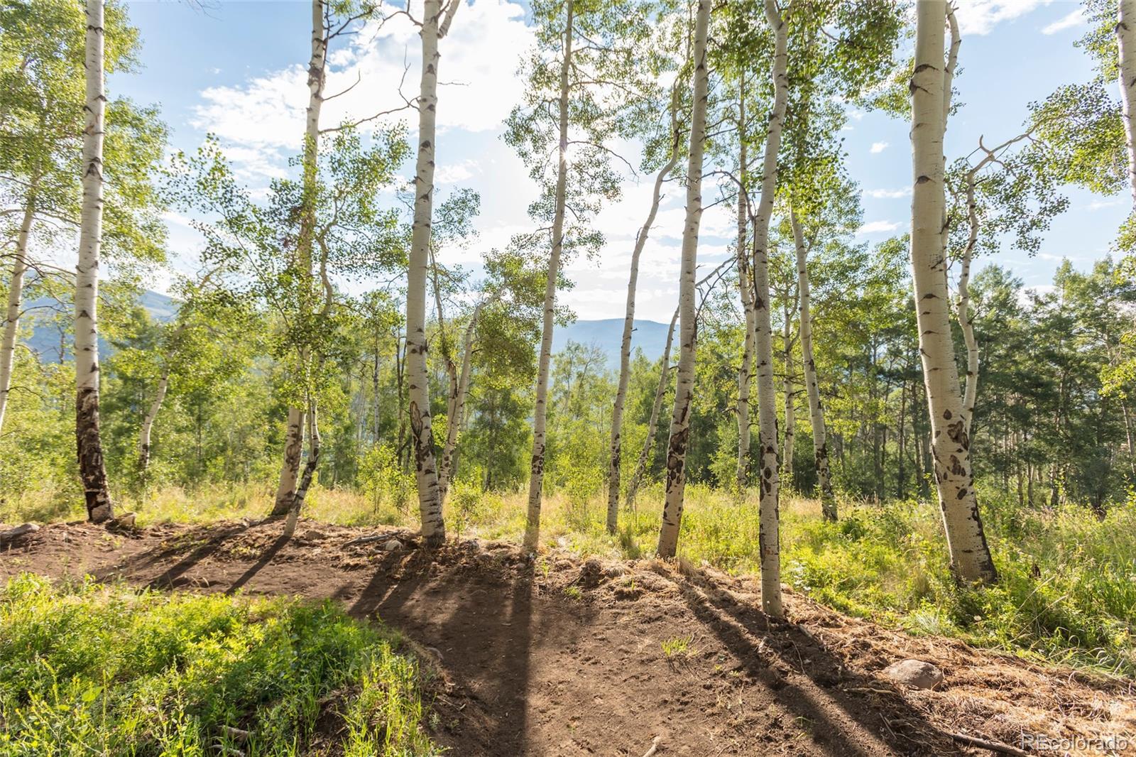 MLS Image #43 for 148  youngs preserve road,silverthorne, Colorado