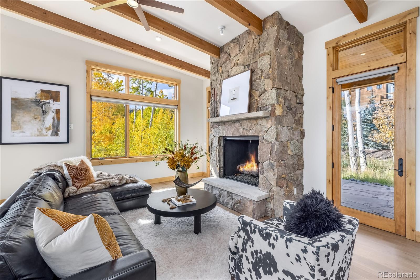 MLS Image #8 for 148  youngs preserve road,silverthorne, Colorado