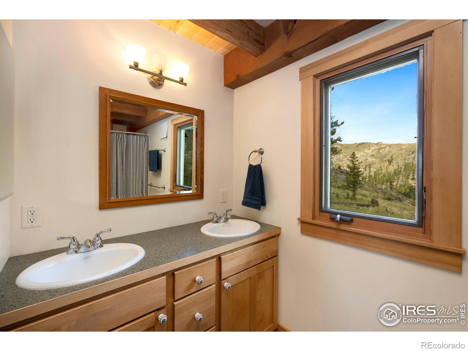 MLS Image #18 for 520  isaac lane,bellvue, Colorado