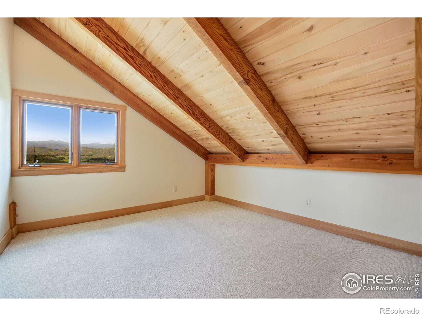 MLS Image #23 for 520  isaac lane,bellvue, Colorado