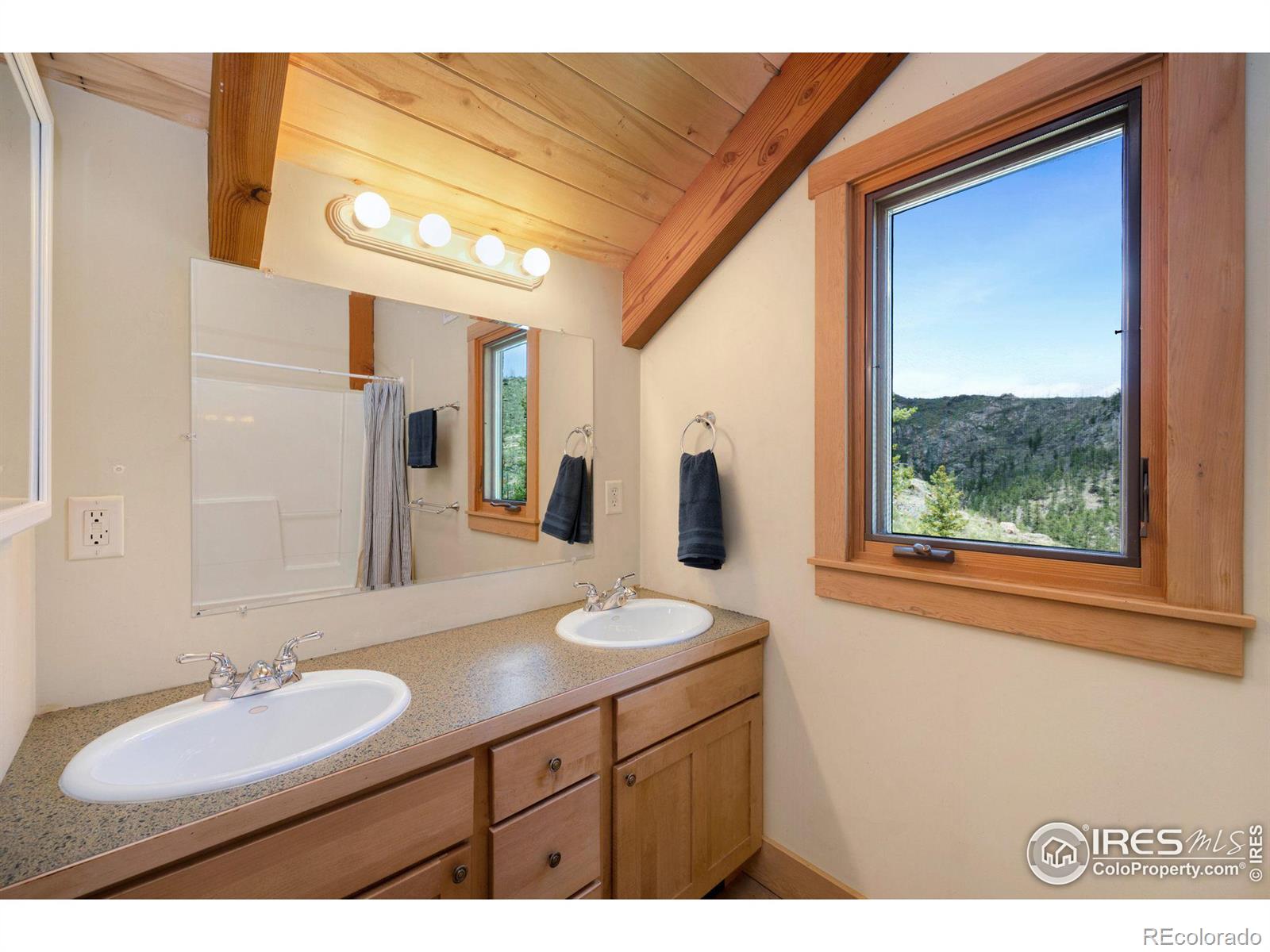 MLS Image #27 for 520  isaac lane,bellvue, Colorado