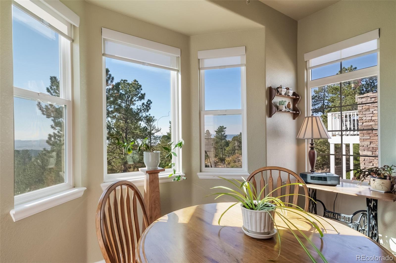 MLS Image #24 for 1459  pineridge lane,castle pines, Colorado