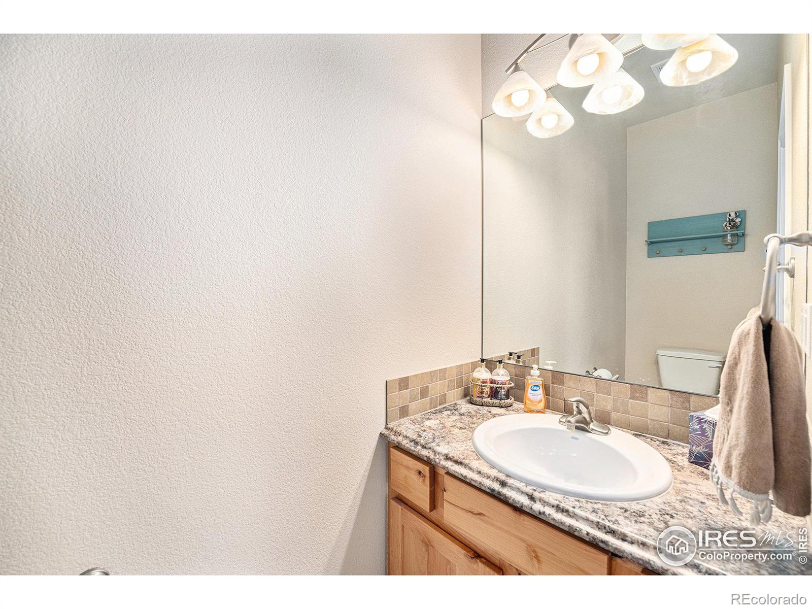 MLS Image #12 for 6861  mount toll court,wellington, Colorado