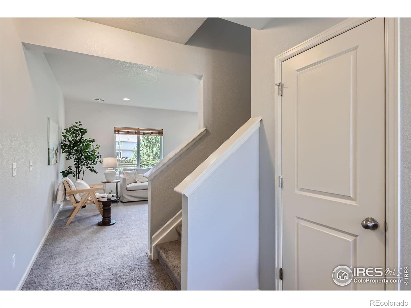 MLS Image #9 for 3175  crux drive,loveland, Colorado