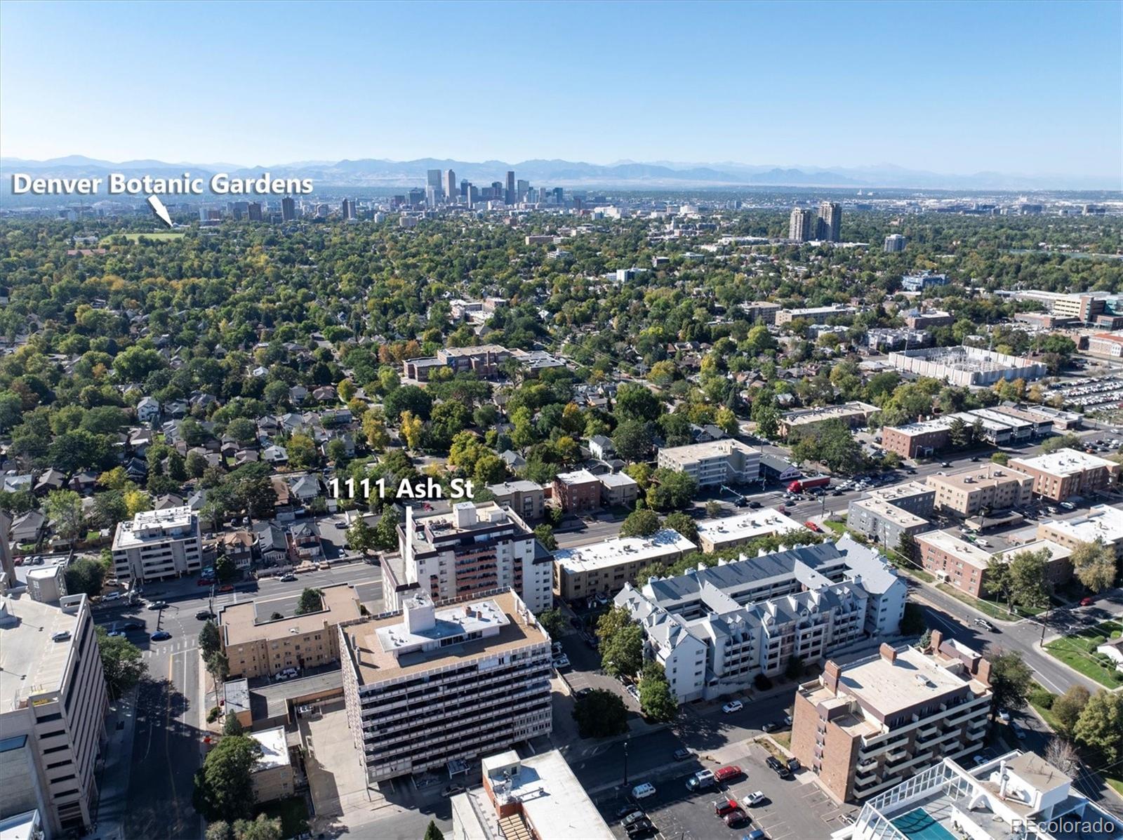 MLS Image #25 for 1111  ash street,denver, Colorado