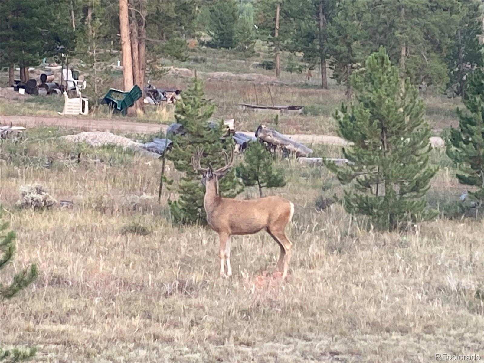 MLS Image #11 for 1481  gcr 452 ,granby, Colorado