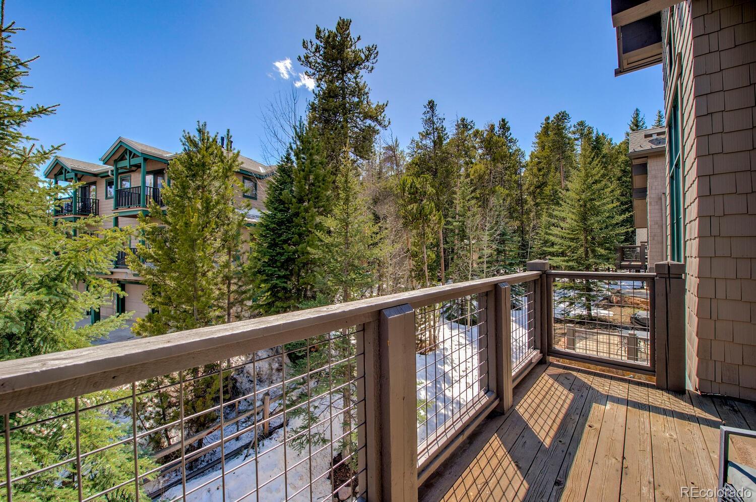 MLS Image #29 for 81  mountain thunder ,breckenridge, Colorado