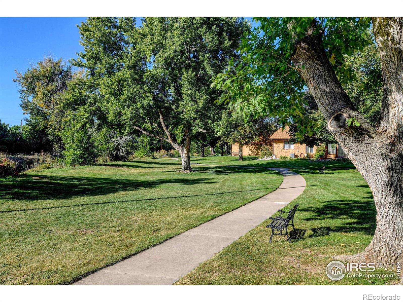 MLS Image #1 for 1100  taft avenue,loveland, Colorado