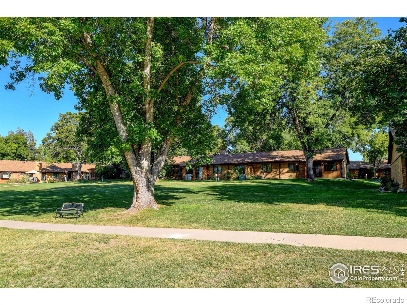 MLS Image #25 for 1100  taft avenue,loveland, Colorado