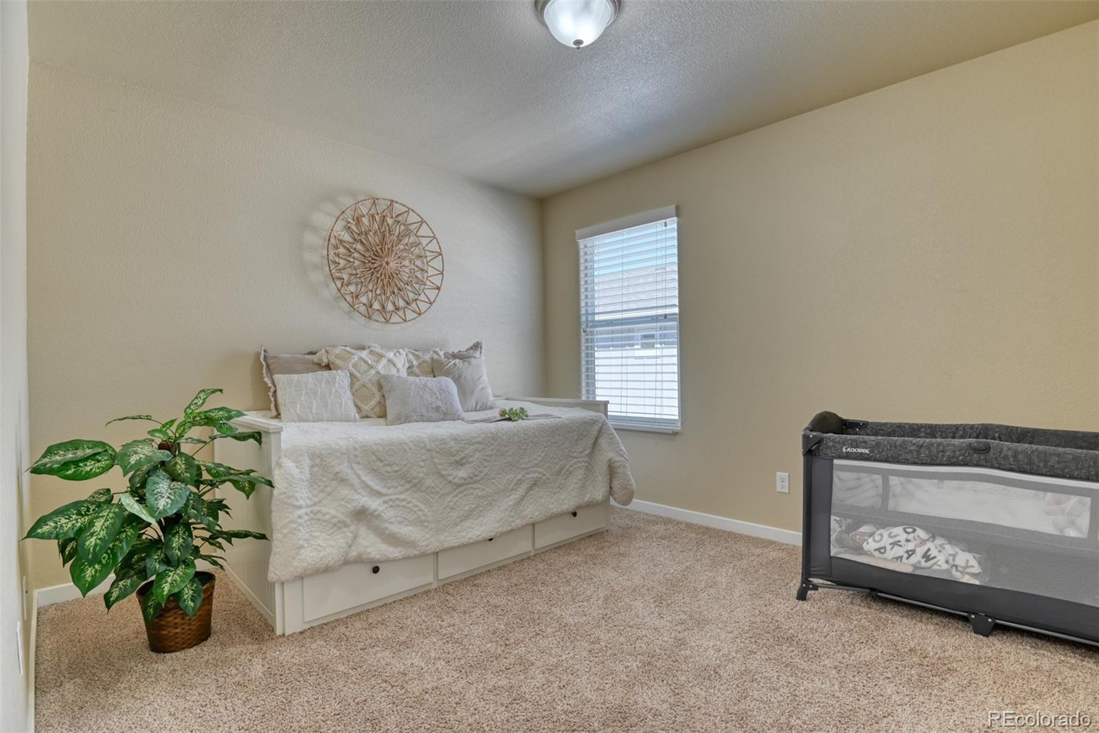 MLS Image #21 for 1234  antrim loop,colorado springs, Colorado