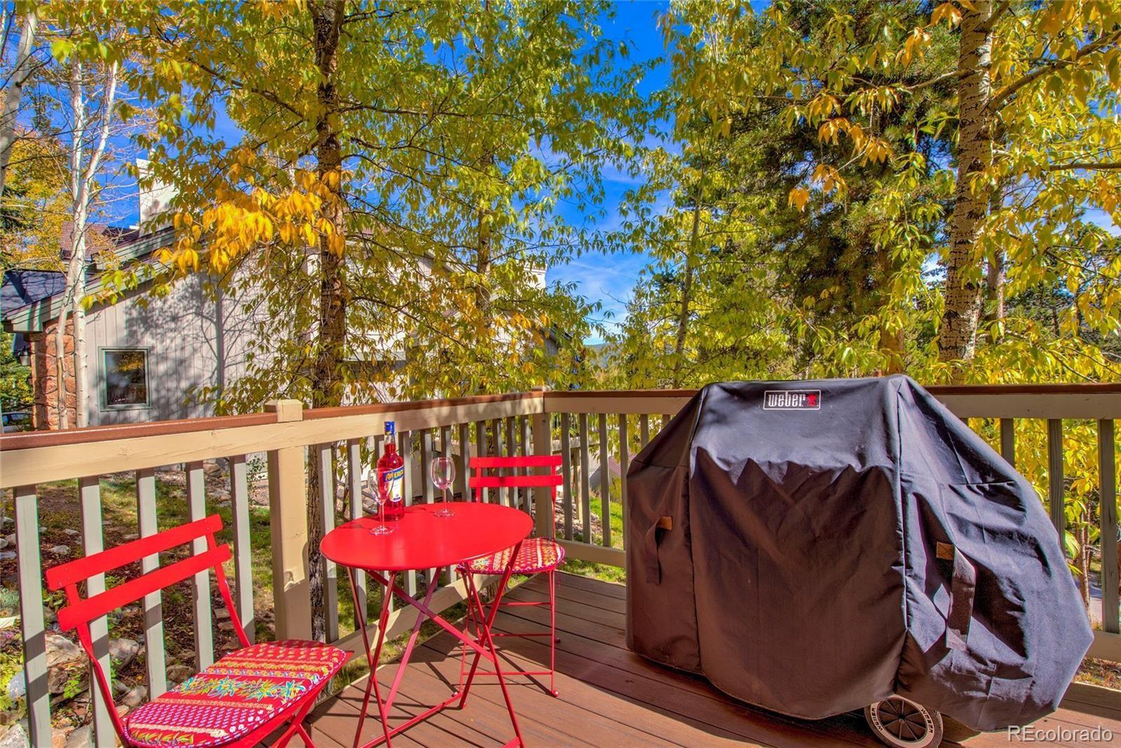 MLS Image #13 for 330  kings crown road,breckenridge, Colorado