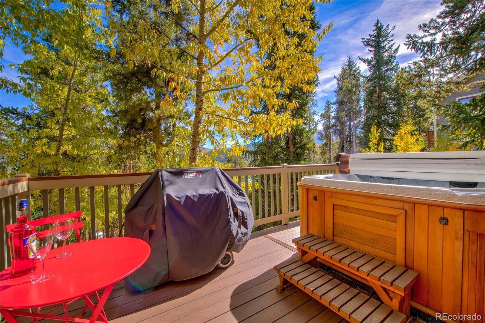 MLS Image #14 for 330  kings crown road,breckenridge, Colorado