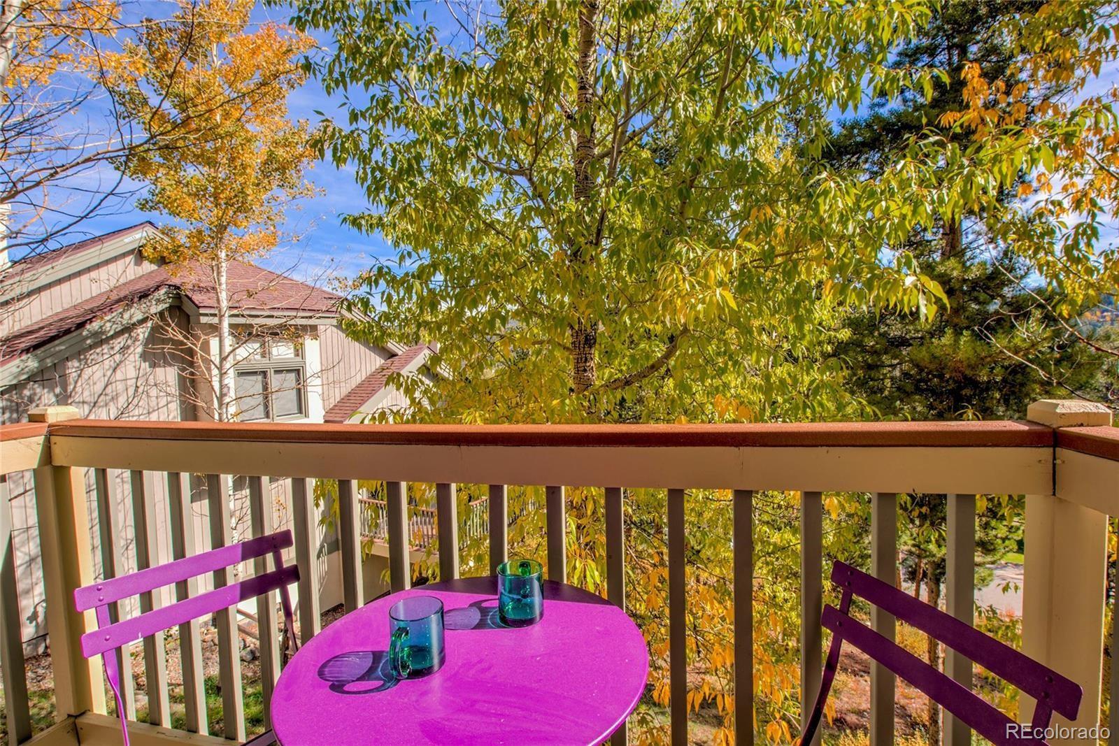 MLS Image #28 for 330  kings crown road,breckenridge, Colorado