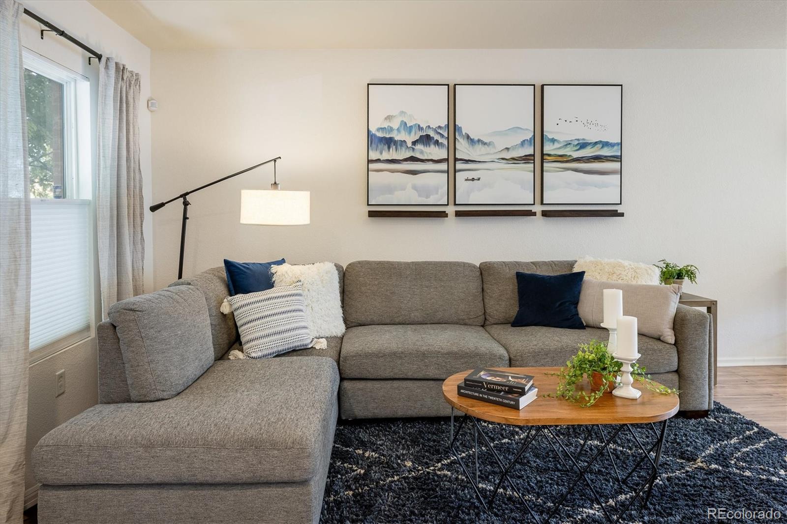 MLS Image #4 for 3674  dexter street,denver, Colorado