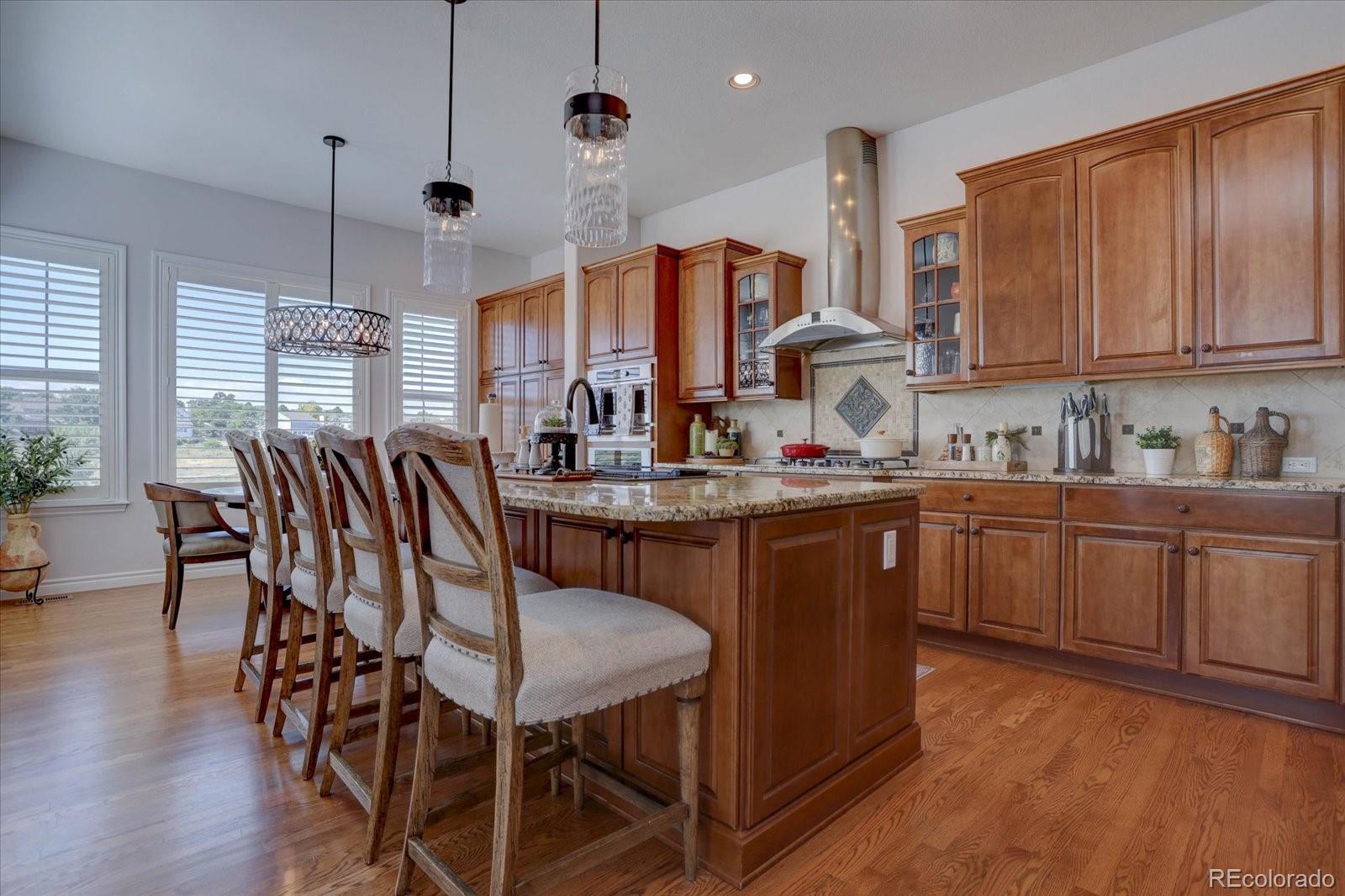 MLS Image #9 for 9341  sori lane,highlands ranch, Colorado