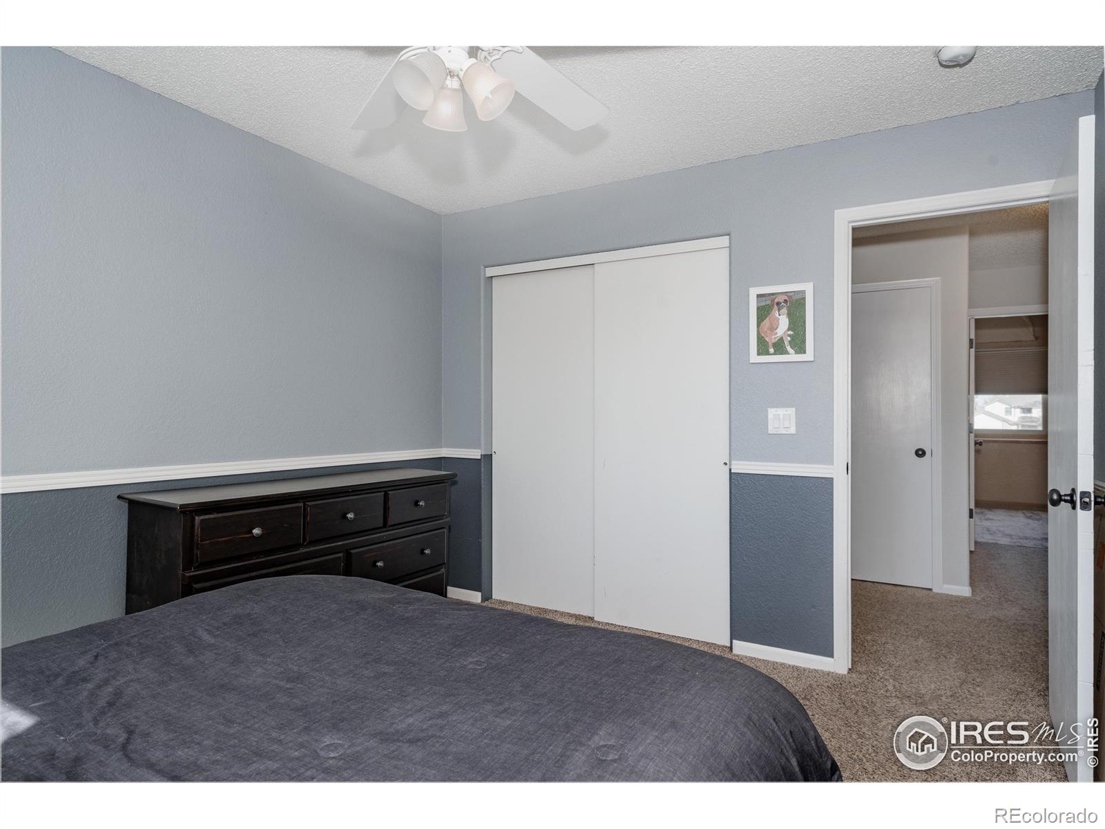 MLS Image #23 for 870  alexandria drive,loveland, Colorado