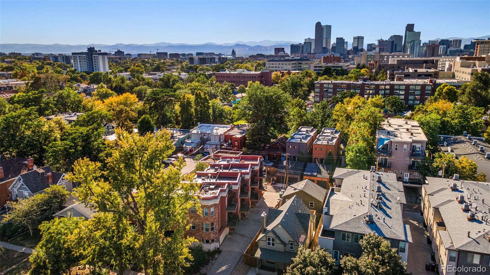 MLS Image #46 for 1865  vine street,denver, Colorado