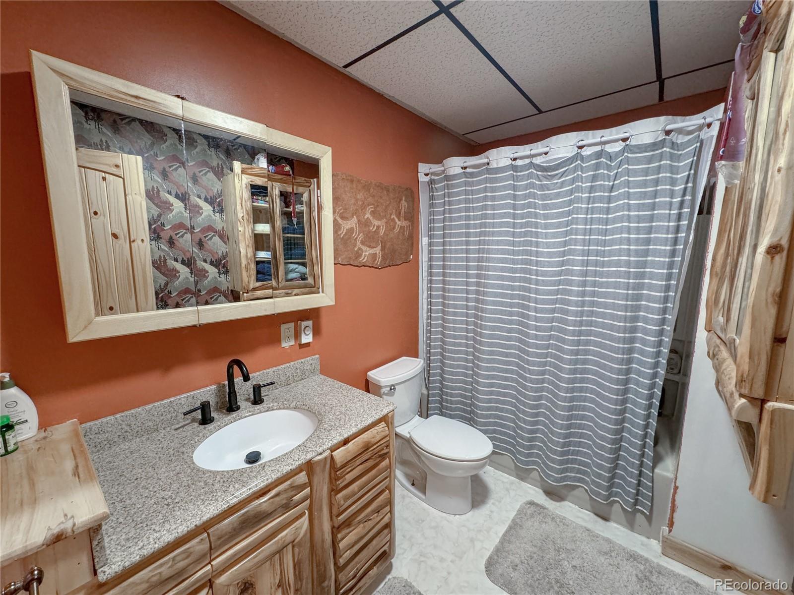 MLS Image #13 for 68  bluff drive,leadville, Colorado