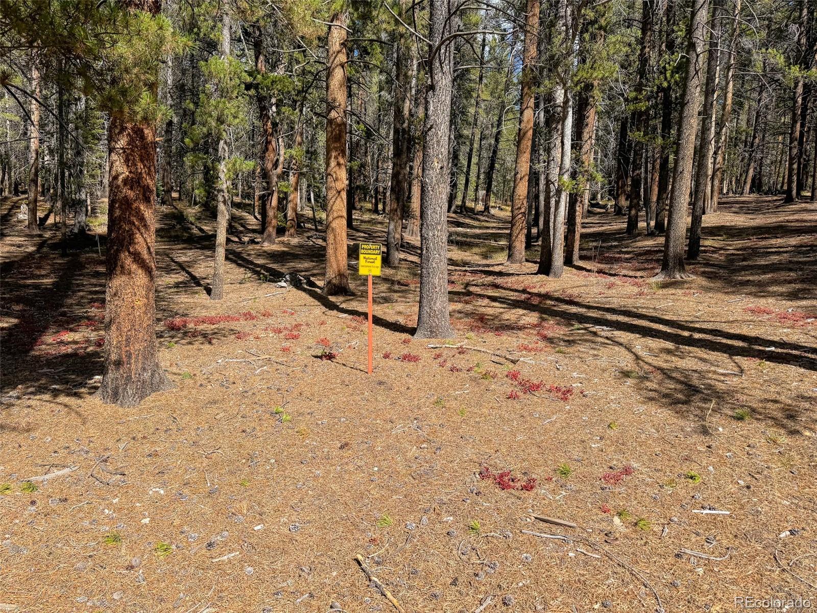 MLS Image #25 for 68  bluff drive,leadville, Colorado