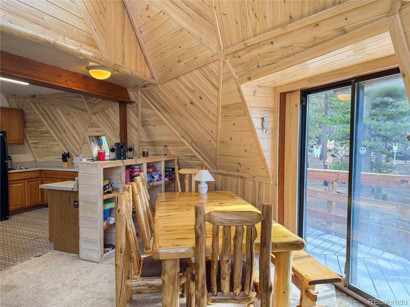 MLS Image #6 for 68  bluff drive,leadville, Colorado