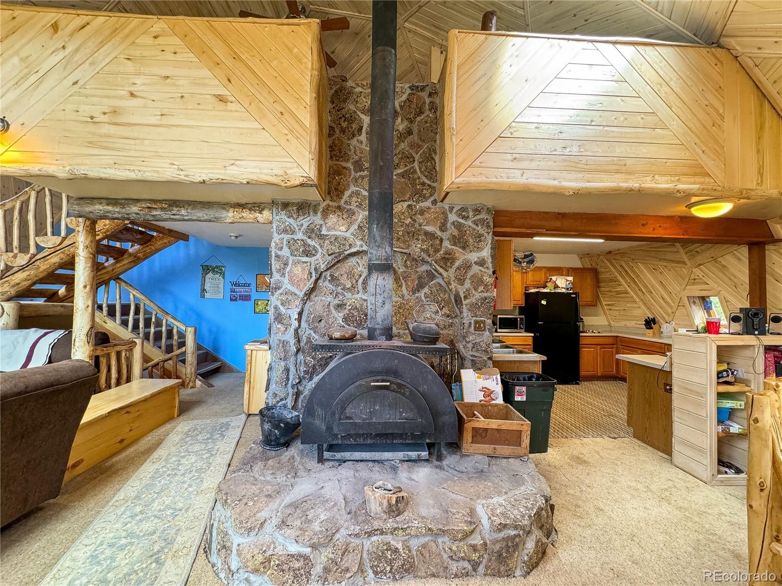 MLS Image #8 for 68  bluff drive,leadville, Colorado