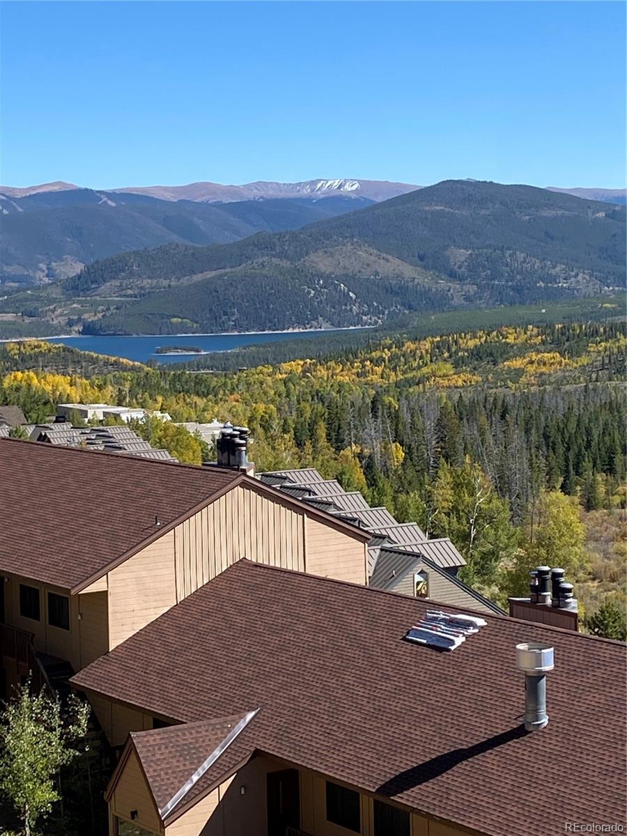 MLS Image #14 for 9800  ryan gulch road,silverthorne, Colorado