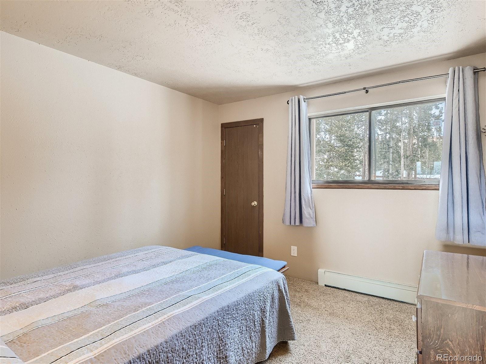 MLS Image #5 for 9800  ryan gulch road,silverthorne, Colorado