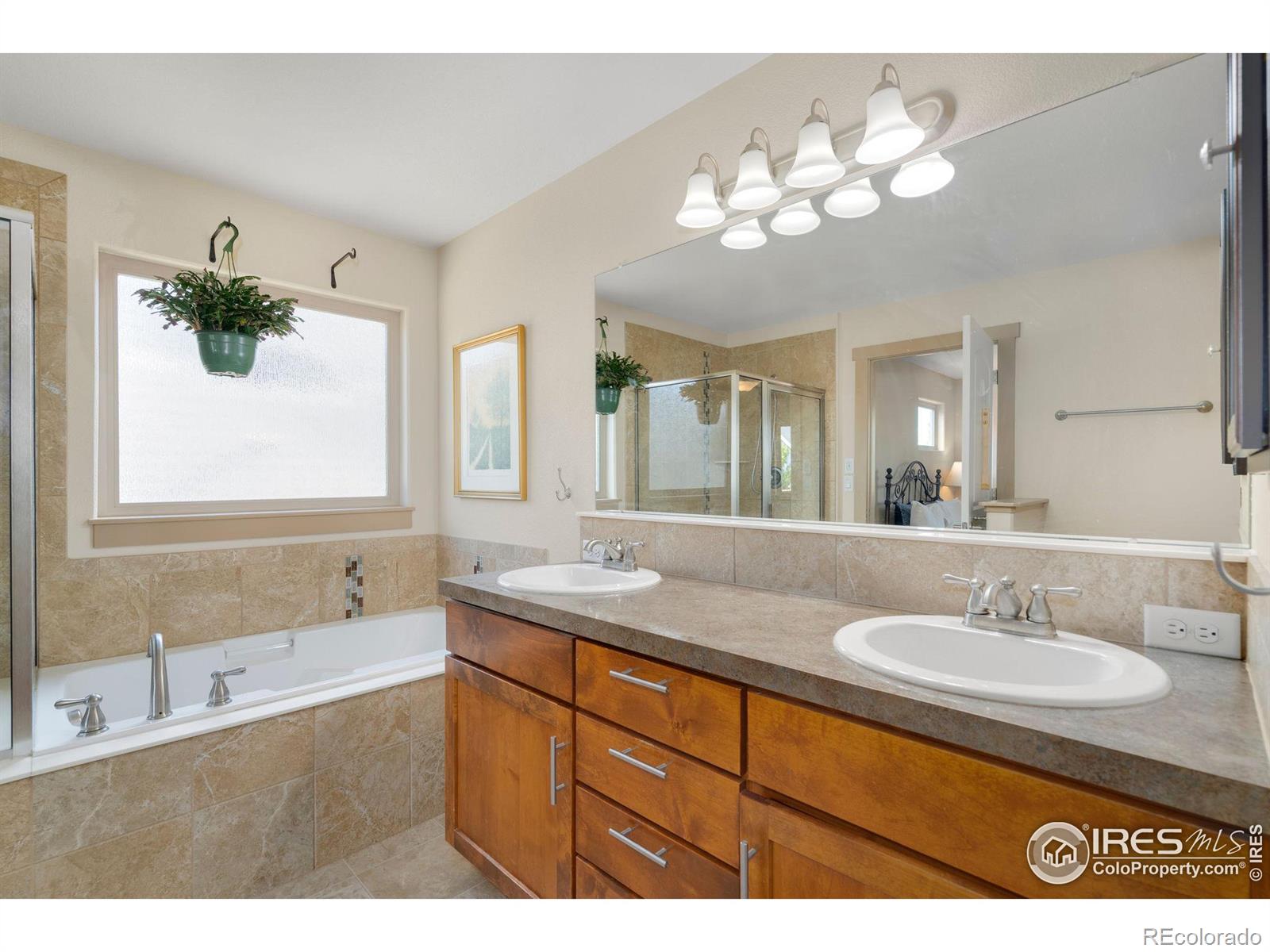 MLS Image #24 for 54  veronica drive,windsor, Colorado